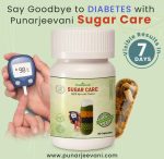 Punarjeevani Sugar Care –  Ayurvedic Capsules for Diabetes Control
