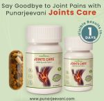 Punarjeevani Joints Care – Ayurvedic Relief for Joint Pain, Arthritis, and Body Aches